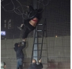 Mujer Araña 